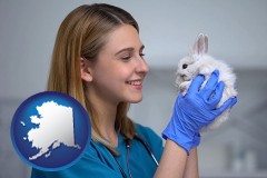 alaska map icon and young female vet caring for a bunny