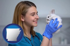 arkansas map icon and young female vet caring for a bunny