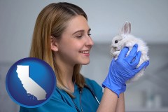 california map icon and young female vet caring for a bunny