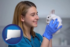 connecticut map icon and young female vet caring for a bunny