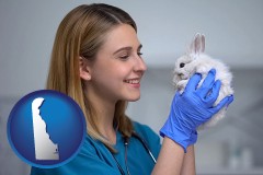delaware map icon and young female vet caring for a bunny