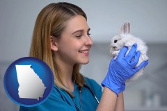 georgia map icon and young female vet caring for a bunny