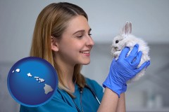 hawaii map icon and young female vet caring for a bunny