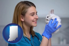 indiana map icon and young female vet caring for a bunny