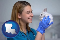 louisiana map icon and young female vet caring for a bunny