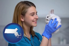 massachusetts young female vet caring for a bunny