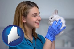 maine map icon and young female vet caring for a bunny