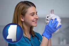 mississippi map icon and young female vet caring for a bunny