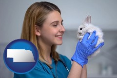 nebraska map icon and young female vet caring for a bunny