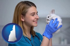 new-hampshire map icon and young female vet caring for a bunny