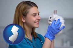 new-jersey young female vet caring for a bunny