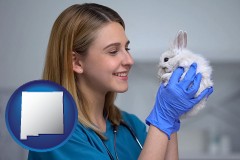 new-mexico map icon and young female vet caring for a bunny