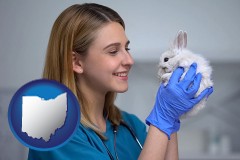 ohio map icon and young female vet caring for a bunny