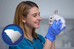 south-carolina map icon and young female vet caring for a bunny
