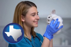 texas map icon and young female vet caring for a bunny