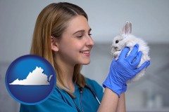 virginia map icon and young female vet caring for a bunny