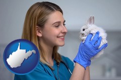 west-virginia map icon and young female vet caring for a bunny