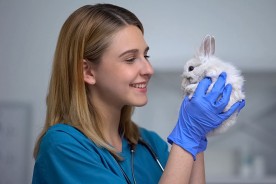 young female vet caring for a bunny
