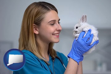 young female vet caring for a bunny - with Connecticut icon