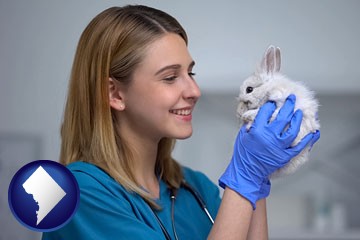 young female vet caring for a bunny - with Washington, DC icon