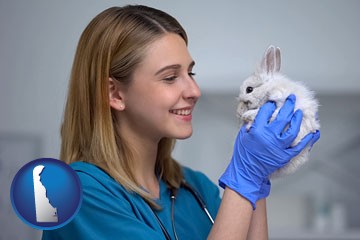young female vet caring for a bunny - with Delaware icon