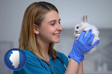 young female vet caring for a bunny - with Illinois icon