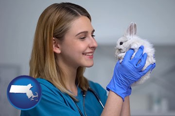 young female vet caring for a bunny - with Massachusetts icon