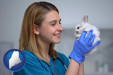 young female vet caring for a bunny - with Maine icon