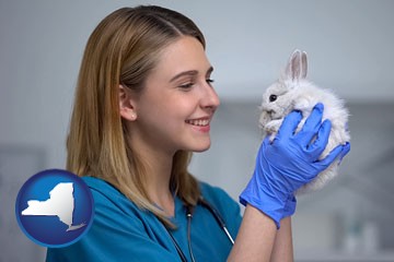 young female vet caring for a bunny - with New York icon