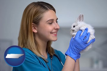 young female vet caring for a bunny - with Tennessee icon