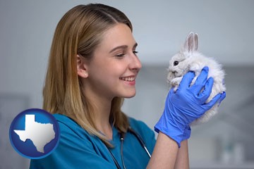 young female vet caring for a bunny - with Texas icon