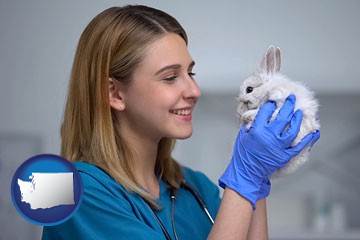 young female vet caring for a bunny - with Washington icon