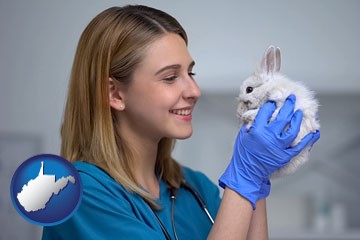 young female vet caring for a bunny - with West Virginia icon