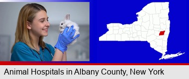 young female vet caring for a bunny; Albany County highlighted in red on a map