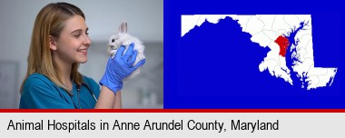 young female vet caring for a bunny; Anne Arundel County highlighted in red on a map