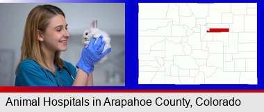 young female vet caring for a bunny; Arapahoe County highlighted in red on a map