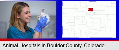 young female vet caring for a bunny; Boulder County highlighted in red on a map