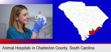 young female vet caring for a bunny; Charleston County highlighted in red on a map