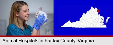 young female vet caring for a bunny; Fairfax County highlighted in red on a map