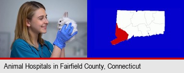 young female vet caring for a bunny; Fairfield County highlighted in red on a map