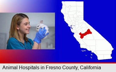 young female vet caring for a bunny; Fresno County highlighted in red on a map