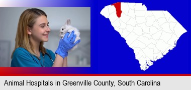 young female vet caring for a bunny; Greenville County highlighted in red on a map