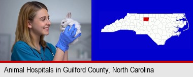young female vet caring for a bunny; Guilford County highlighted in red on a map