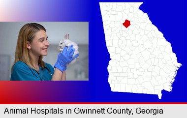 young female vet caring for a bunny; Gwinnett County highlighted in red on a map