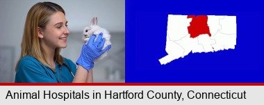 young female vet caring for a bunny; Hartford County highlighted in red on a map