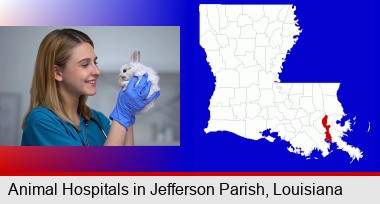 young female vet caring for a bunny; Jefferson Parish highlighted in red on a map