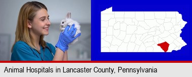 young female vet caring for a bunny; Lancaster County highlighted in red on a map