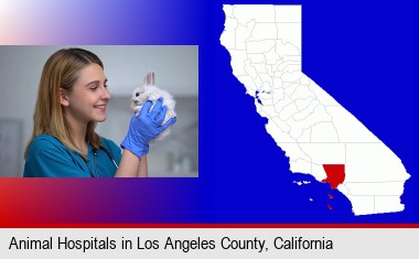 young female vet caring for a bunny; Los Angeles County highlighted in red on a map
