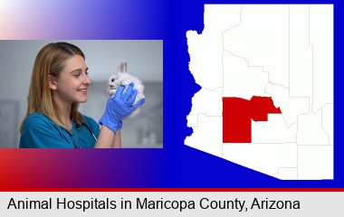 young female vet caring for a bunny; Maricopa County highlighted in red on a map