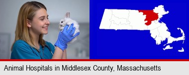 young female vet caring for a bunny; Middlesex County highlighted in red on a map